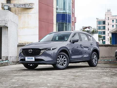 2024�� 2.0L �Զ�����������