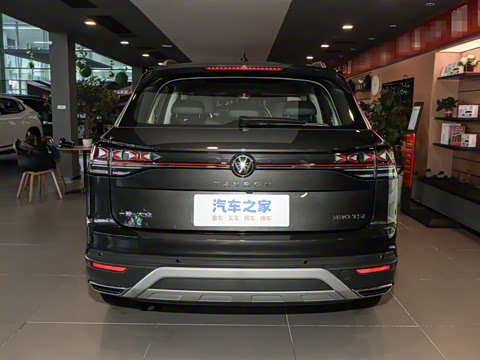 2024�� 330TSI ��������Plus���װ�