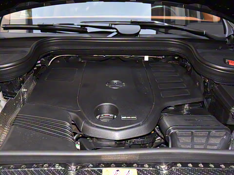 2025�� ����������