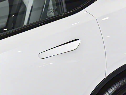 2025�� 530Max  �����Ǽ�AD PRO�����