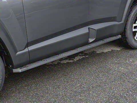 2024�� ����������