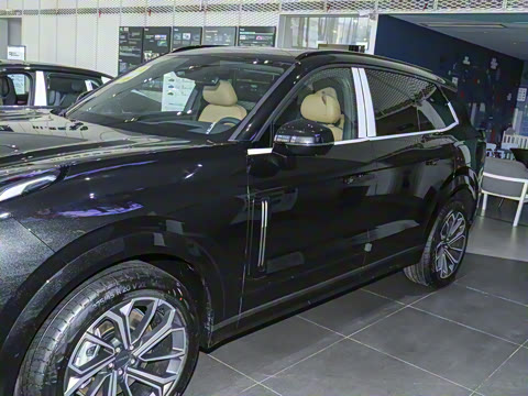 2025�� 2.0TD EM-P ����Max ����