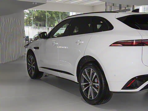 2025�� P250 R-Dynamic SE