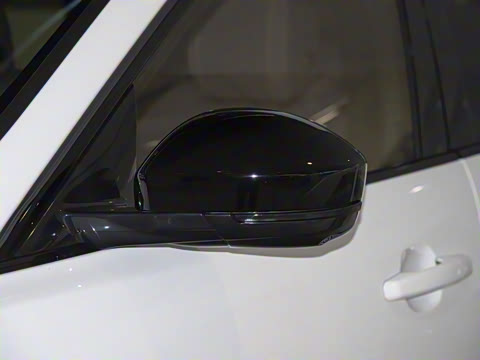 2025�� P250 R-Dynamic SE