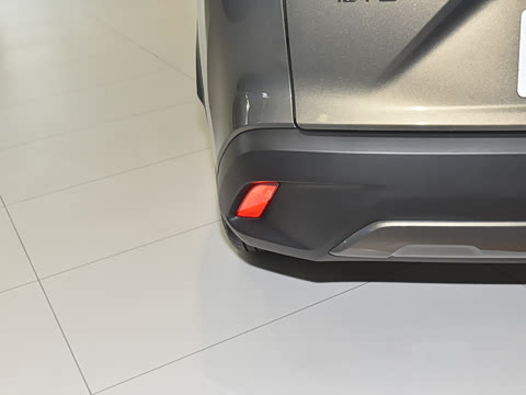 2024�� 2.0L �ȷ��