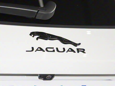 2025�� P250 R-Dynamic SE