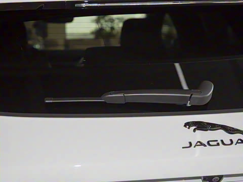 2025�� P250 R-Dynamic SE