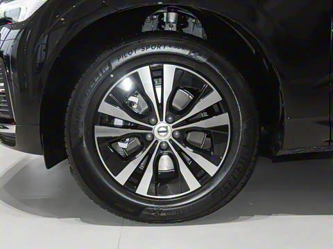 2025�� B5 �������ݺ�����