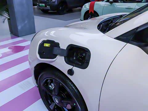 2024�� 401km ������