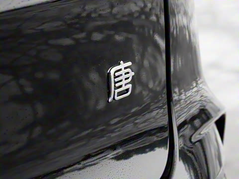 2024�� DM-i ��ҫ�� 112KM �����