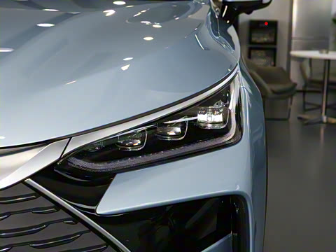 2024�� DM-i ��ҫ�� 112KM ������