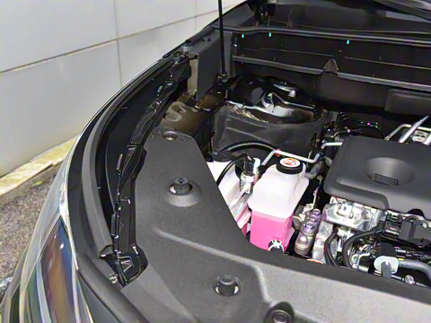 2024�� 2.5L���ܵ��˫��������Ӣ�� 5��