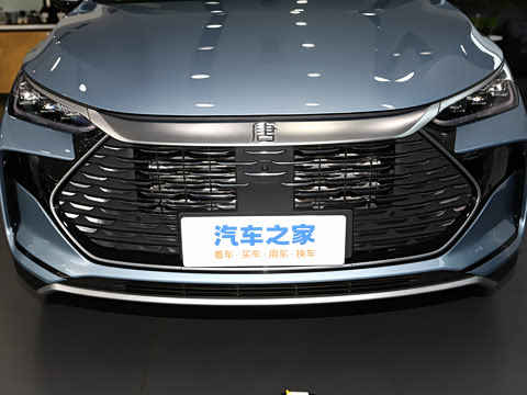 2024�� DM-i ��ҫ�� 112KM ������