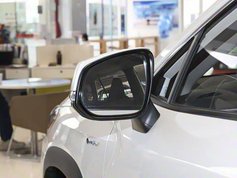 2024�� 2.0L ���ܵ��˫�� ������