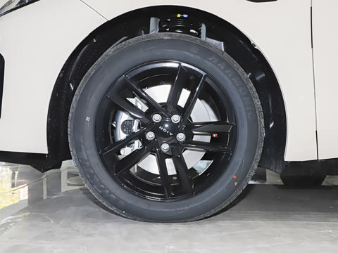 2025�� 520�Ǻ���