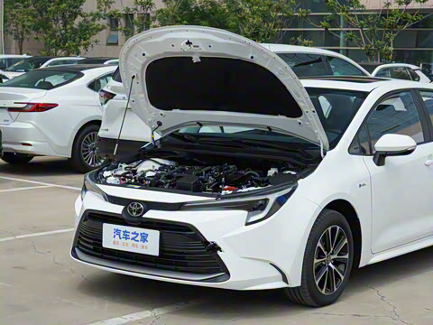 2024�� ���ܵ��˫�� 1.8L ������