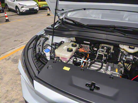 2025�� 565km ������