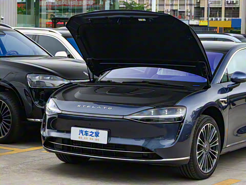 2025�� ���� Max+