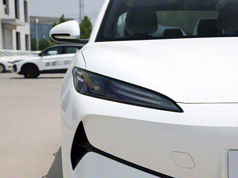 2025�� 520�ǻݰ�