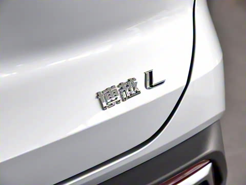 2024�� 1.5TD DCT���ڰ�