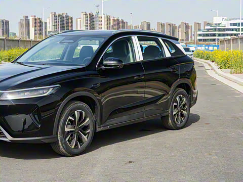 2025�� DM-i �Ǽݰ� 115KM������