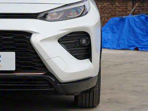 2024�� ˫�� 2.5L E-CVT��������PLUS��