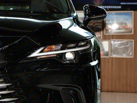 2025�� 300 ����������