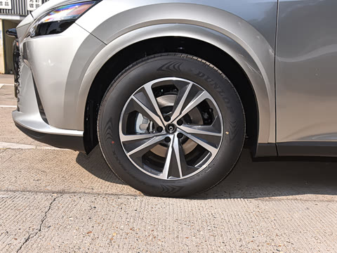 2025�� 350h ����������