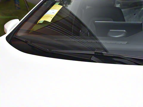 2025�� ���羫Ӣ��