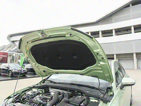 2025�� 300TSI Pro