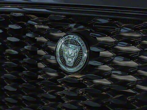 2024�� P250 R-Dynamic SE