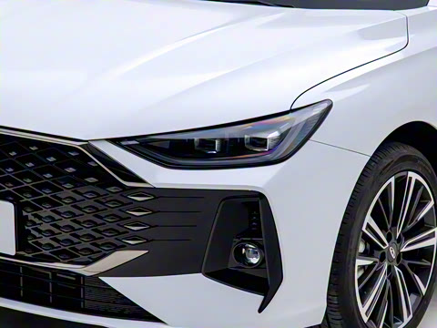 2025�� 1.6T DCT ������+