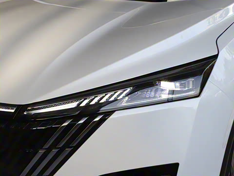 2025�� 1.5T ������