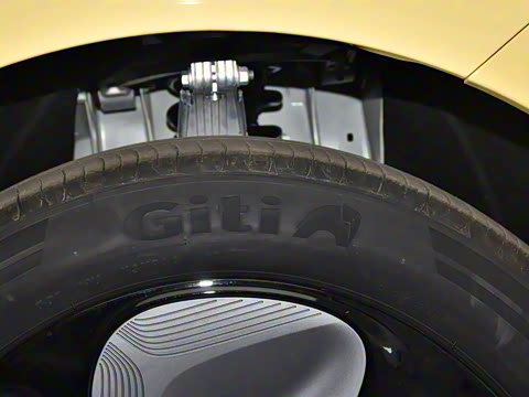 2025�� �������������Ǽݰ�