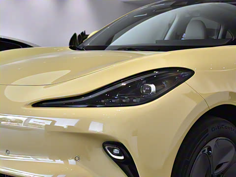 2025�� �������������Ǽݰ�