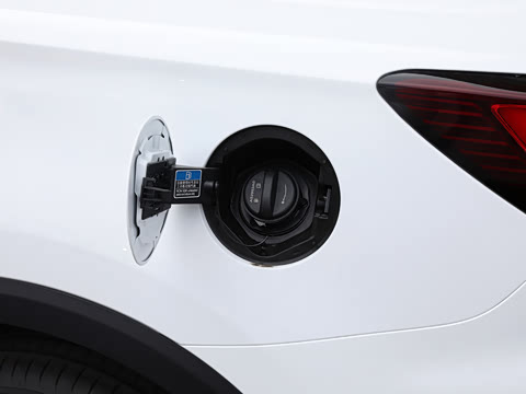 2025�� PLUS 330TGI �Զ��쳱�ǻݰ�