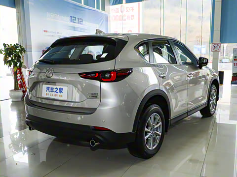 2024�� 2.0L �Զ�����������