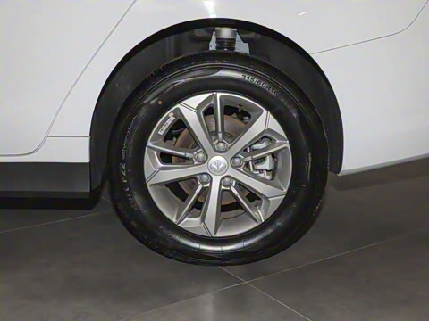 2025�� ���а�