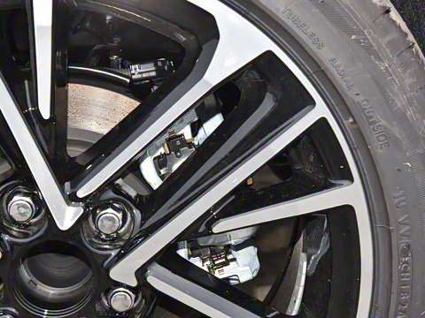 2024�� ˫�� 2.5HG ����