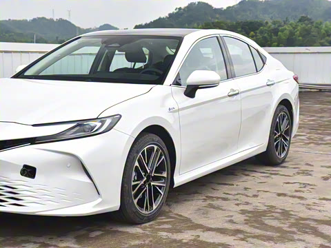 2024�� ˫�� 2.5HG ����