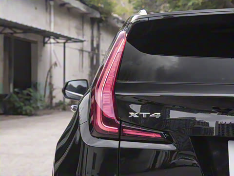 2024�� 25T ����������