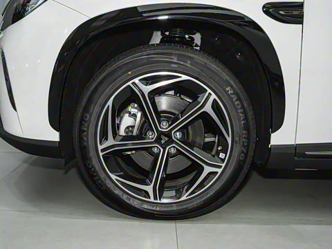 2024�� ���� 310 �����