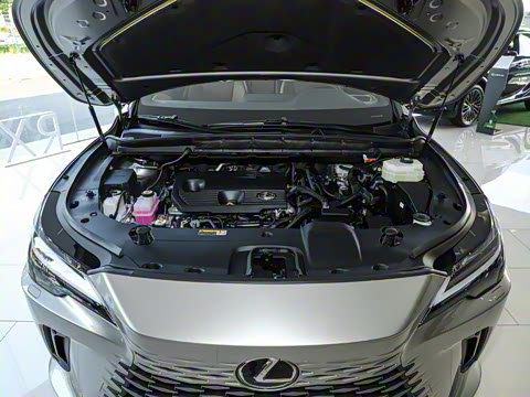 2023�� 350h ����������