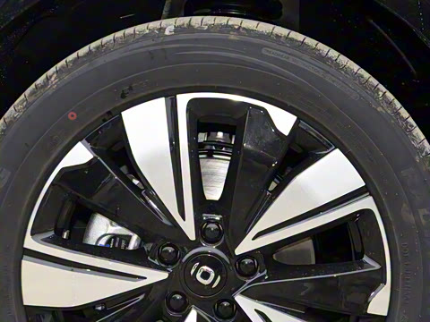 2025�� ���� ����� 230 ������