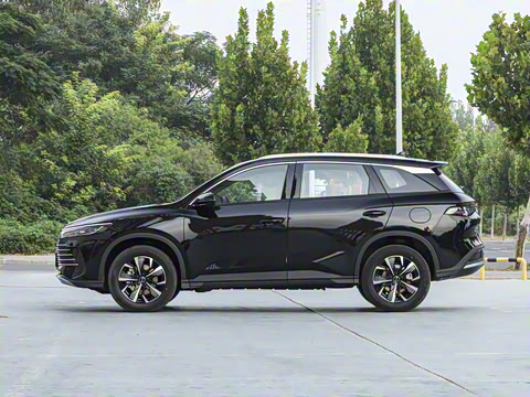 2025�� DM-i 75KM������