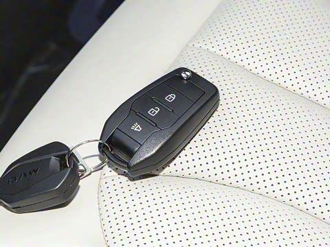 2025�� 2.0L �ֶ���������� 7��