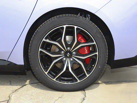 2025�� ���� 230ProѲ����