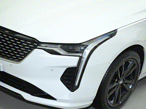 2023�� 28T ������