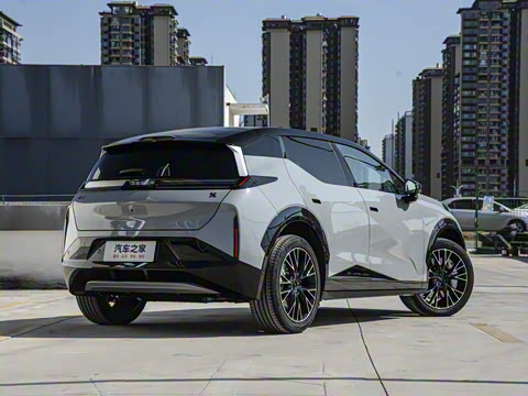 2025�� ���������˶���