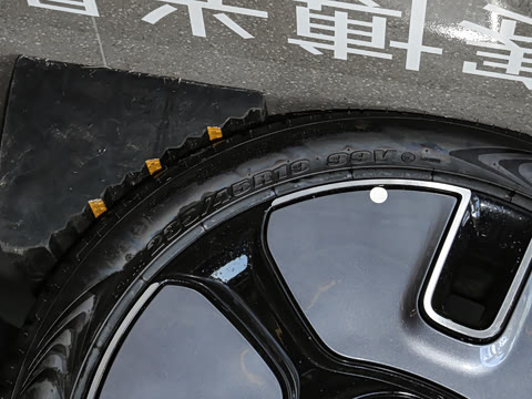 2024�� �鶯������